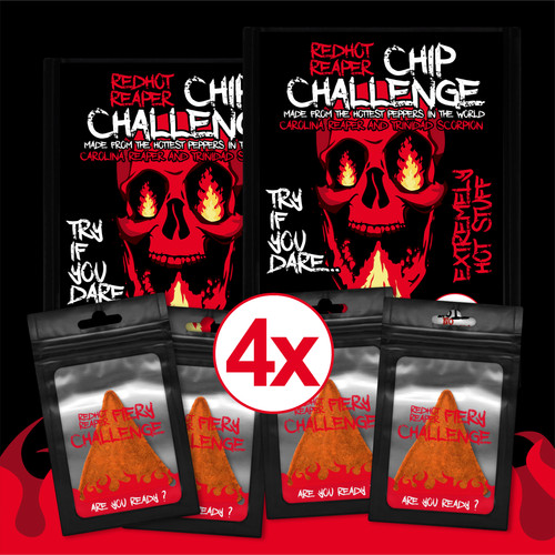 Chip challenge - 4x,